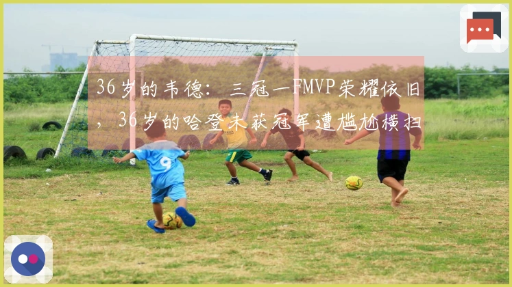 36岁的韦德:三冠一FMVP荣耀依旧,36岁的哈登未获冠军遭尴尬横扫